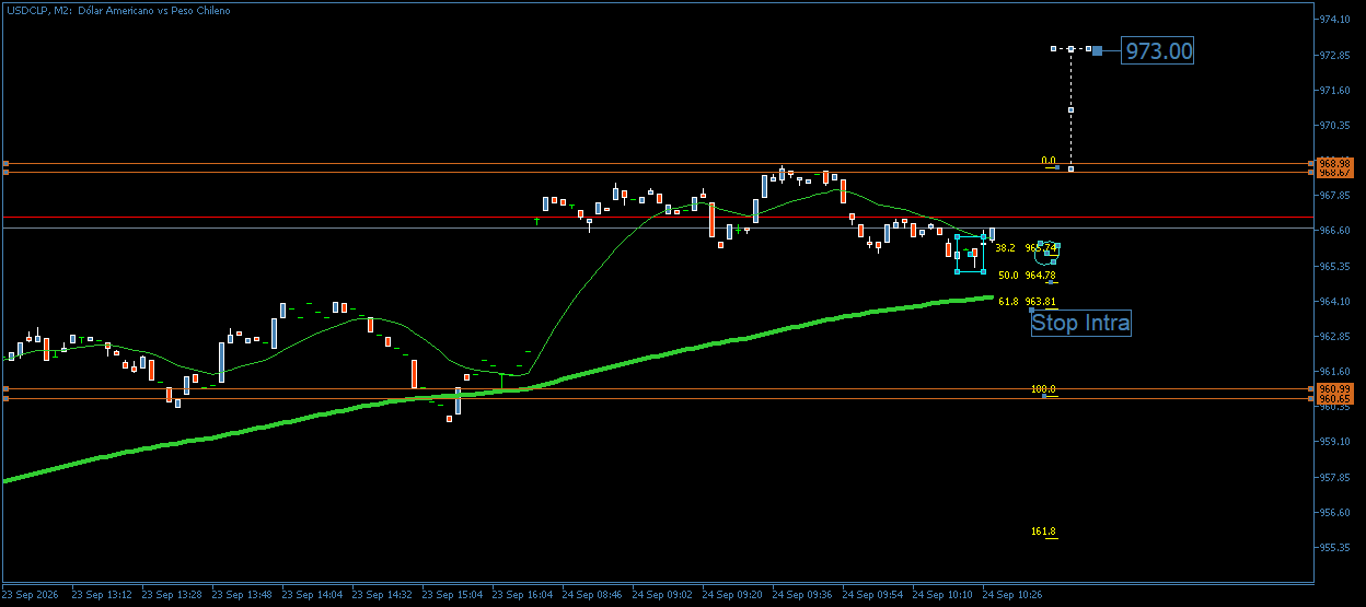 3830_usdclpm2zoom_intra.png