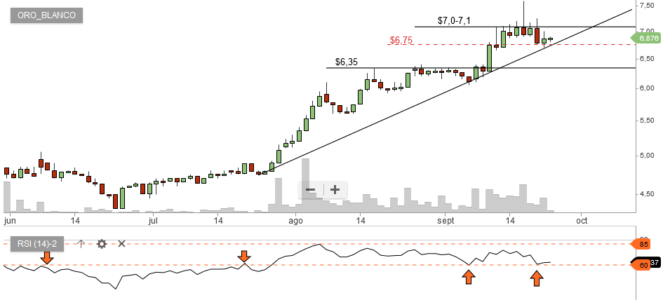 6018_oro_blanco_26_09_2017.png