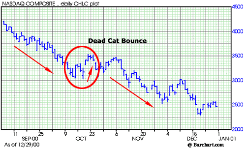 1422_dead_cat_bounce_graph.gif