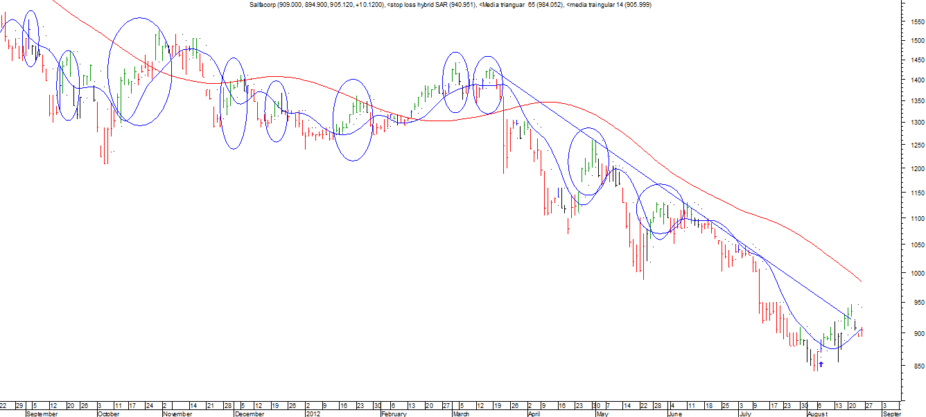 2_salfacorp_24-08-2012_diario.png